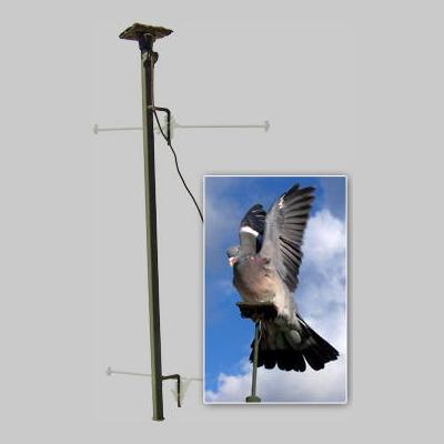 Guide fil - GUIDFIL - matériel palombière : mécaniques appelants pour la  chasse à la palombe - matériel de chasse à la palombe